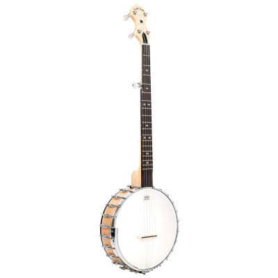 Gold tone banjo