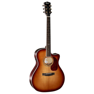 Cort acoustic guitars