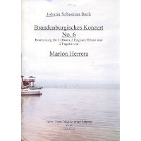 Brandenburgisches Konzert Nr.6 BWV1051