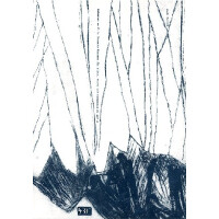 Kadenzen zu Mozarts Konzert für Flöte, Harfe