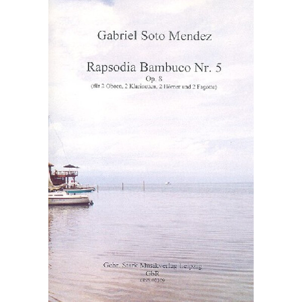 Rapsodia bambuco Nr.5 op.8