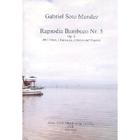 Rapsodia bambuco Nr.5 op.8