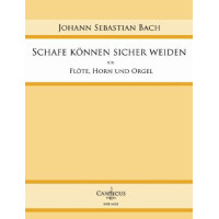 Schafe können sicher weiden