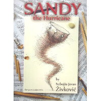 Sandy the Hurricane