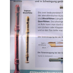 Die Flöte Instrumenten - Poster