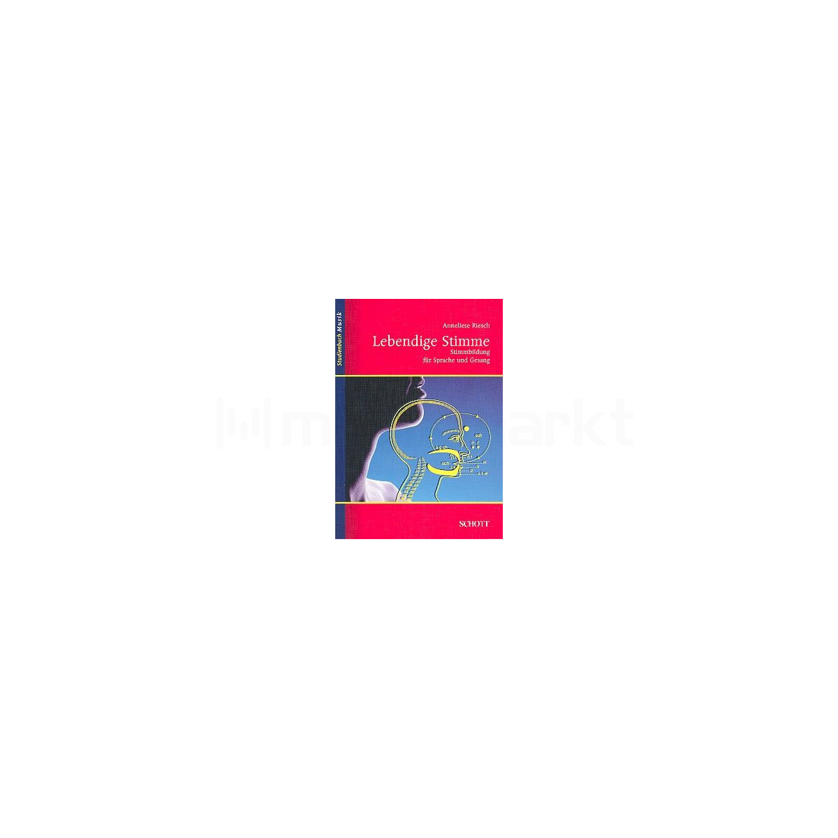 Lebendige Stimme Stimmbildung box