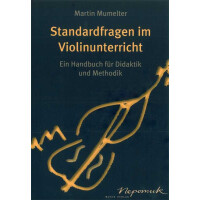 Standardfragen im Violinunterricht
