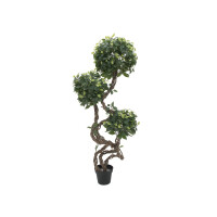 Europalms Ficus Multi Spiralstamm, Kunstpflanze, 160cm