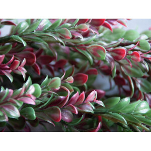 Europalms Grasranke, künstlich, grün-rot, 105cm