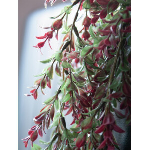 Europalms Grasranke, künstlich, grün-rot, 105cm