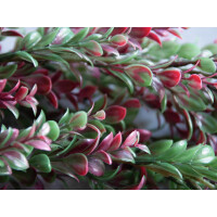 Europalms Grasranke, künstlich, grün-rot, 105cm