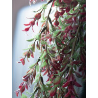 Europalms Grasranke, künstlich, grün-rot, 105cm