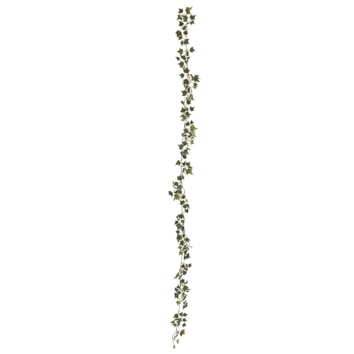 Europalms Holland ivy garland Classic, artificial, 180cm
