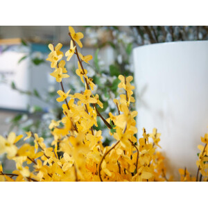 Europalms Forsythienbusch, künstlich, 60cm