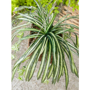 Europalms Grünlilie, künstlich, 60cm