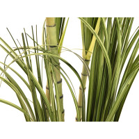 Europalms Dracenabusch, künstlich, 215cm