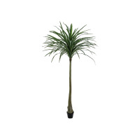 Europalms Dracena, künstlich, grün, 220cm