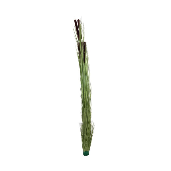 Europalms reed grass with cobs, artificial, light green, 152cm