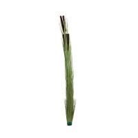 Europalms reed grass with cobs, artificial, light green, 152cm