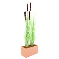 Europalms reed grass with cobs, artificial, light green, 152cm