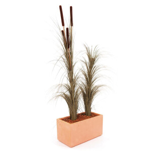 Europalms reed grass with cobs, artificial, dark brown, 152cm