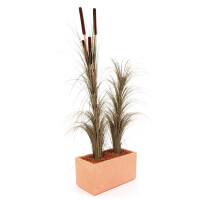 Europalms reed grass with cobs, artificial, dark brown, 152cm