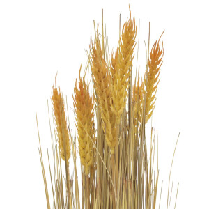 Europalms Wheat bundle, artificial, 60cm