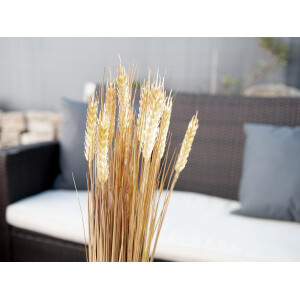 Europalms Wheat bundle, artificial, 60cm