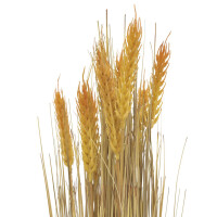 Europalms Wheat bundle, artificial, 60cm