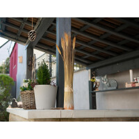 Europalms Wheat bundle, artificial, 60cm