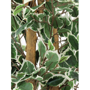 Europalms Silberficus-Benjamini, Kunstpflanze, 180cm