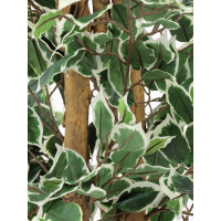 Europalms Silberficus-Benjamini, Kunstpflanze, 180cm