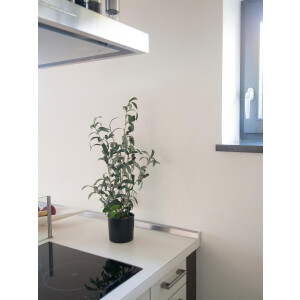 Europalms Olivenbäumchen, Kunstpflanze, 68 cm