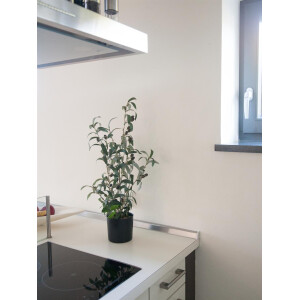 Europalms Olivenbäumchen, Kunstpflanze, 68 cm