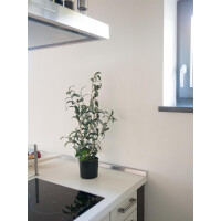 Europalms Olivenbäumchen, Kunstpflanze, 68 cm