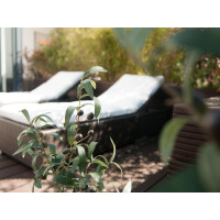 Europalms Olivenbäumchen, Kunstpflanze, 90 cm