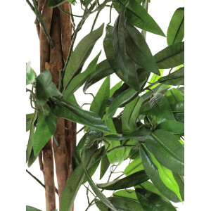 Europalms Dschungelbaum Mango, Kunstpflanze, 180cm