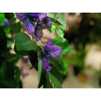 Europalms Bougainvillea, lavendel, Kunstpflanze, 150cm