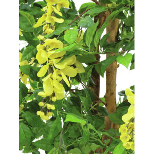 Europalms Goldregenbaum, Kunstpflanze, gelb, 180cm