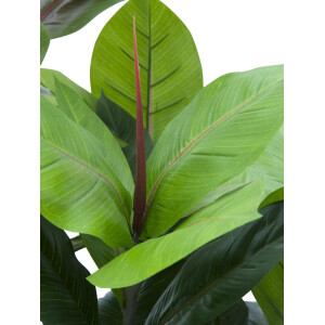 Europalms rubber tree, artificial plant, 100cm