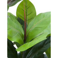 Europalms rubber tree, artificial plant, 100cm