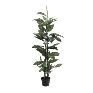 Europalms Dieffenbachia, künstlich, 120cm