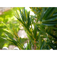 Europalms Bambus deluxe, Kunstpflanze, 150cm