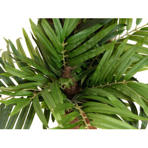 Europalms Areca Palme, Kunstpflanze, 170cm