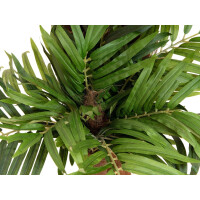 Europalms Areca Palme, Kunstpflanze, 170cm