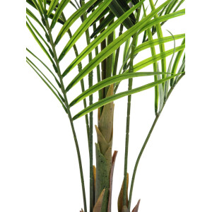 Europalms Großblatt-Areca, Kunstpflanze, 165cm