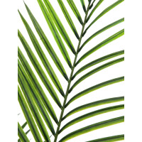 Europalms Großblatt-Areca, Kunstpflanze, 165cm
