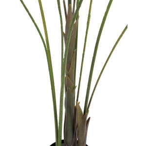 Europalms Großblatt-Areca, Kunstpflanze, 185cm