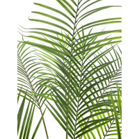 Europalms Großblatt-Areca, Kunstpflanze, 185cm