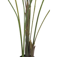 Europalms Großblatt-Areca, Kunstpflanze, 185cm